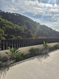 WhatsApp Image 2026-01-29 at 19.30.12 (1)